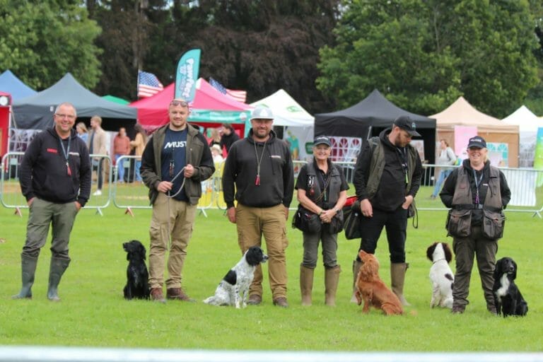 Gundog Demonstrations at Dog Lovers Festival.