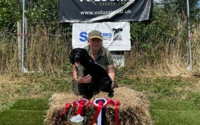 Scurry League Winner – Todd, handled by Alison Payne