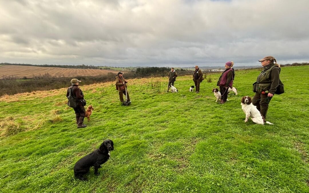 Men and dogs training in a field