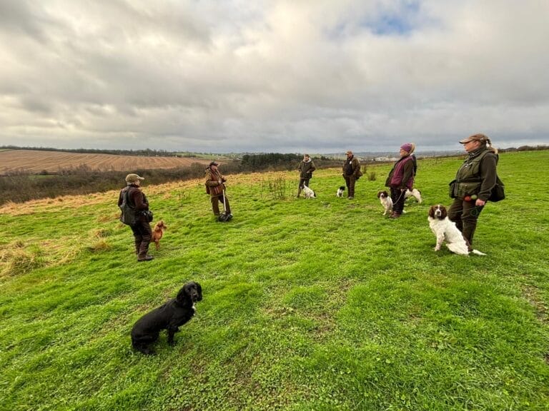 Men and dogs training in a field