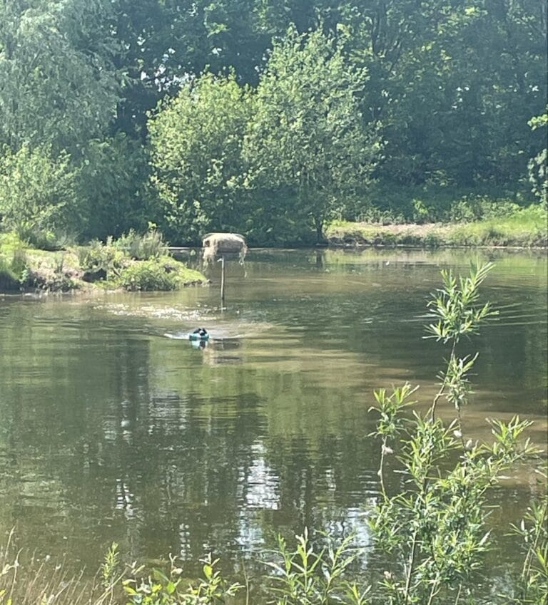 12th May Intermediate Water Training Day