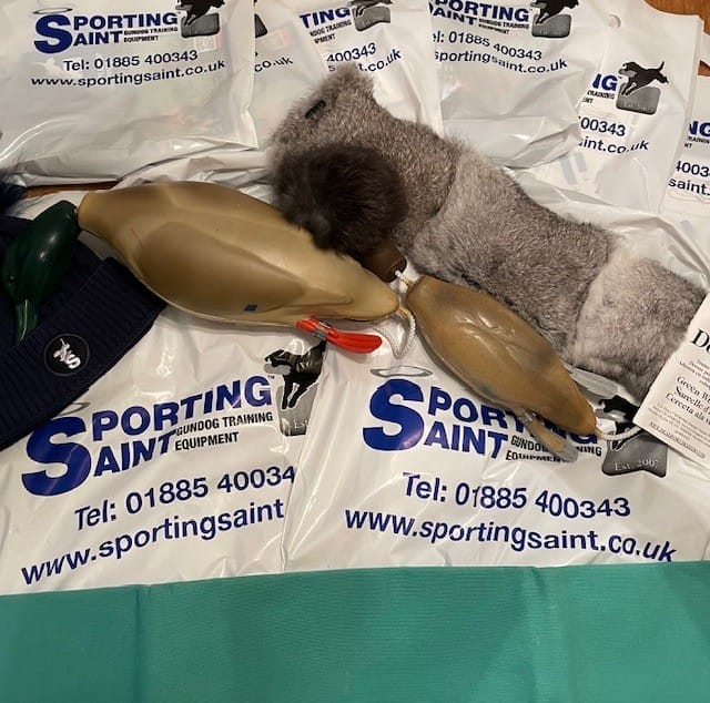 Sporting Saint Sponsorship