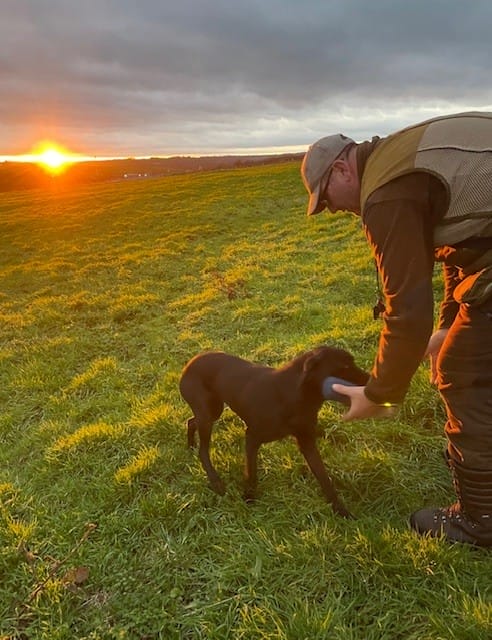 Paul White with a brown dog in a training field